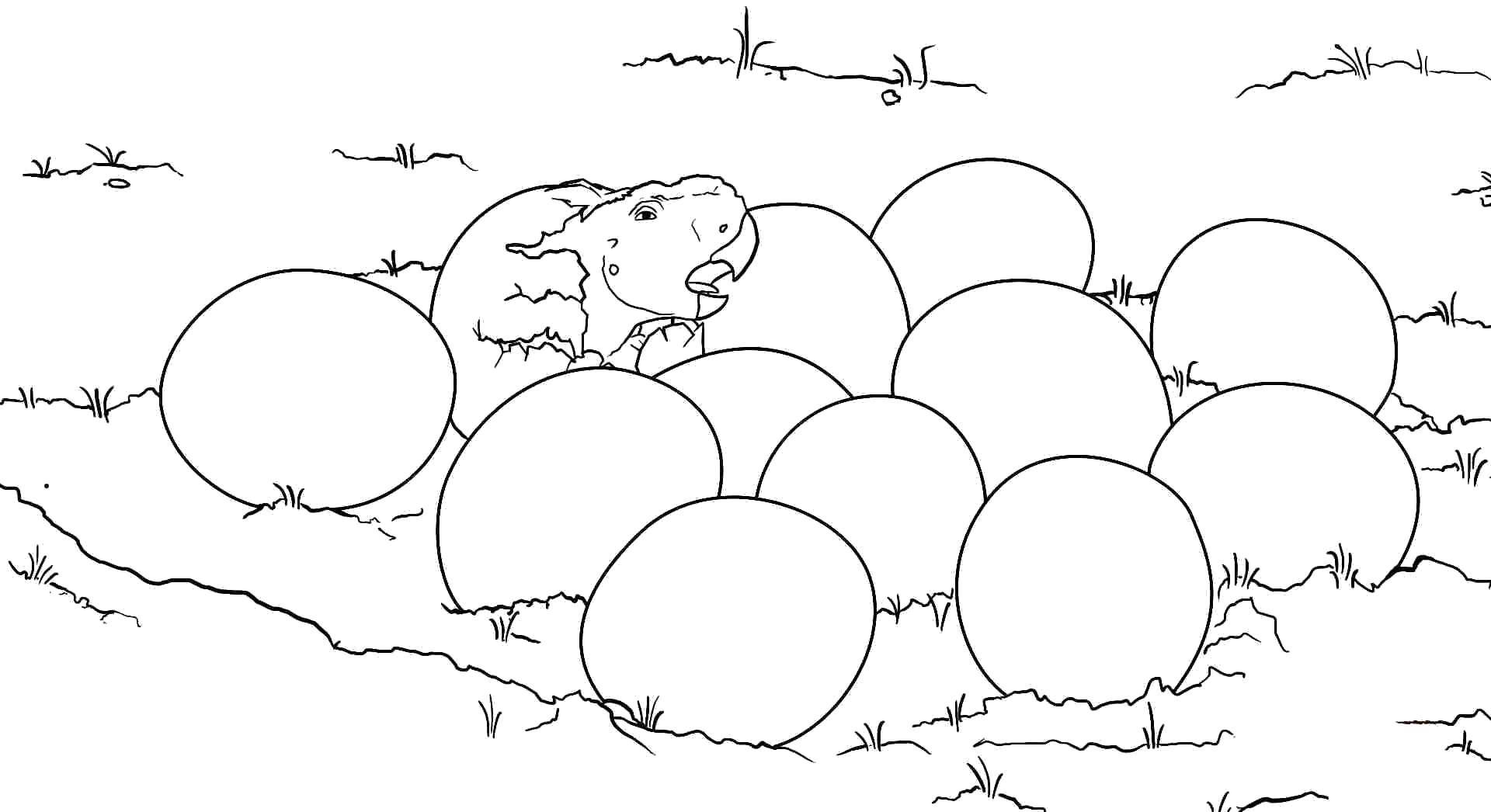 Online coloring pages coloring page dinosaur eggs dinosaur download print coloring page