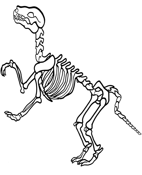 Dinosaurs bones printable picture to print