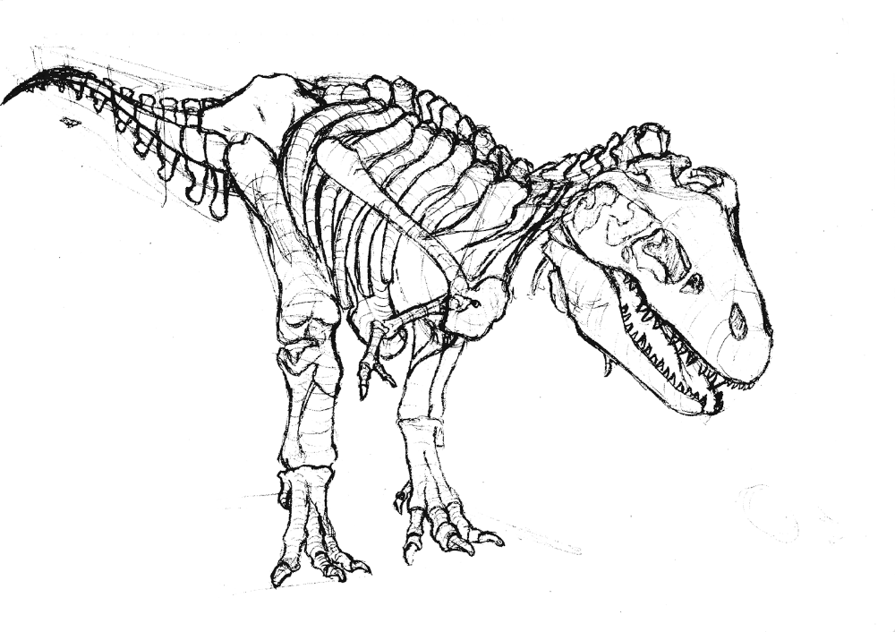 Tyrannosaurus rex bones coloring page educative printable skeleton drawings dinosaur skeleton tyrannosaurus