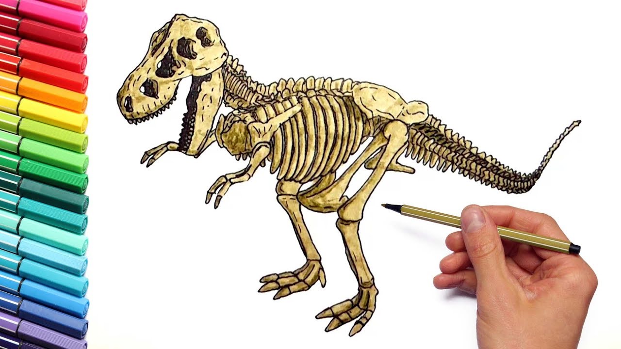 Dinosaur skeleton color pages for childrens