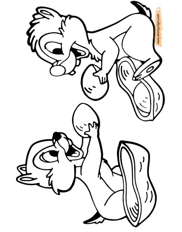 Chip and dale disney black and white coloring pages chip and dale stitch coloring pages