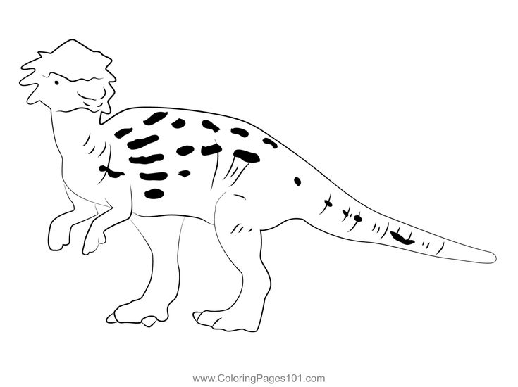 Pachycephalosaurus with patches coloring page in coloring pages dinosaur coloring pages printable coloring pages