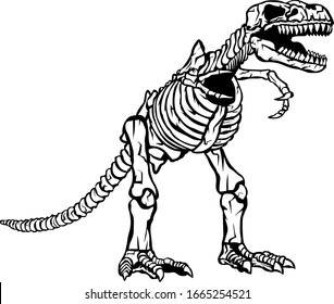 Trex dinosaur skeleton illustration vector stock vector royalty free