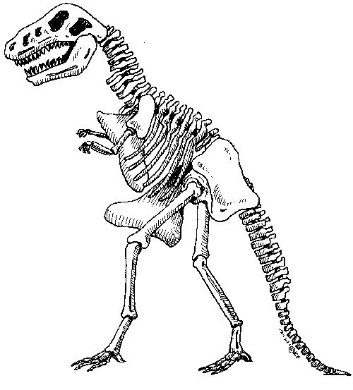 Discover printable dinosaur skeleton pictures