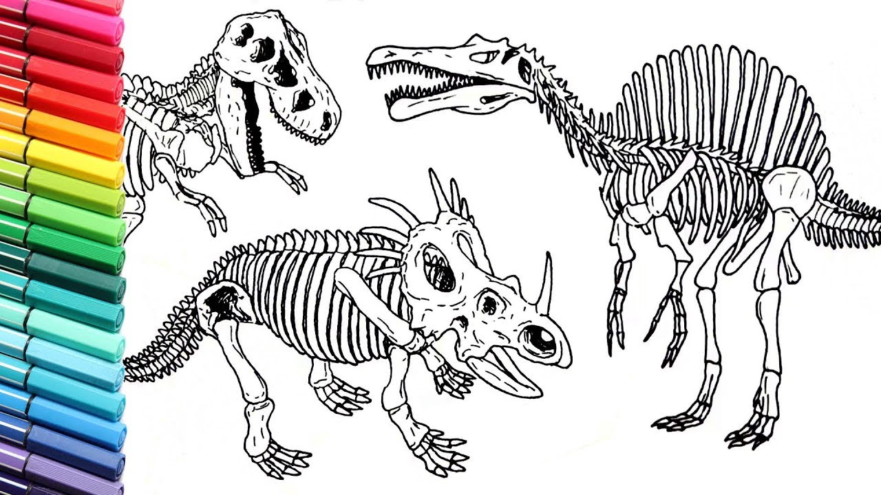 Drawing and coloring dinosaurs skeleton