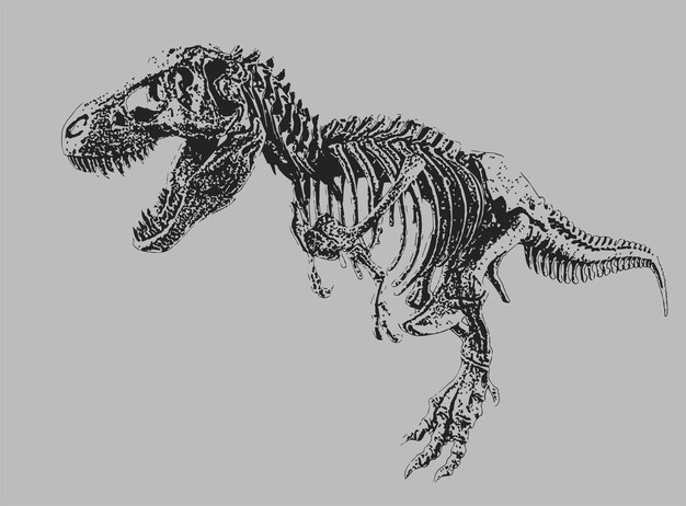 Page dinosauria vectors illustrations for free download