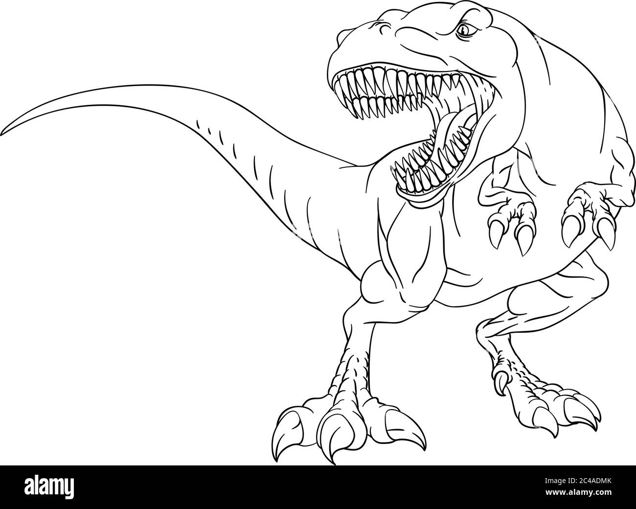 T rex black and white stock photos images
