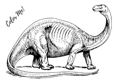 Free brontosaurus dinosaur coloring sheet
