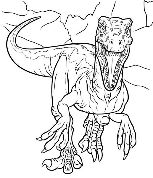 Dinosaur coloring pages best dino pictures to color for kids dinosaur coloring pages dinosaur coloring dinosaur coloring sheets
