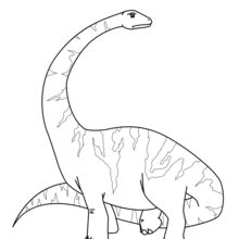 Diplodocus coloring pages