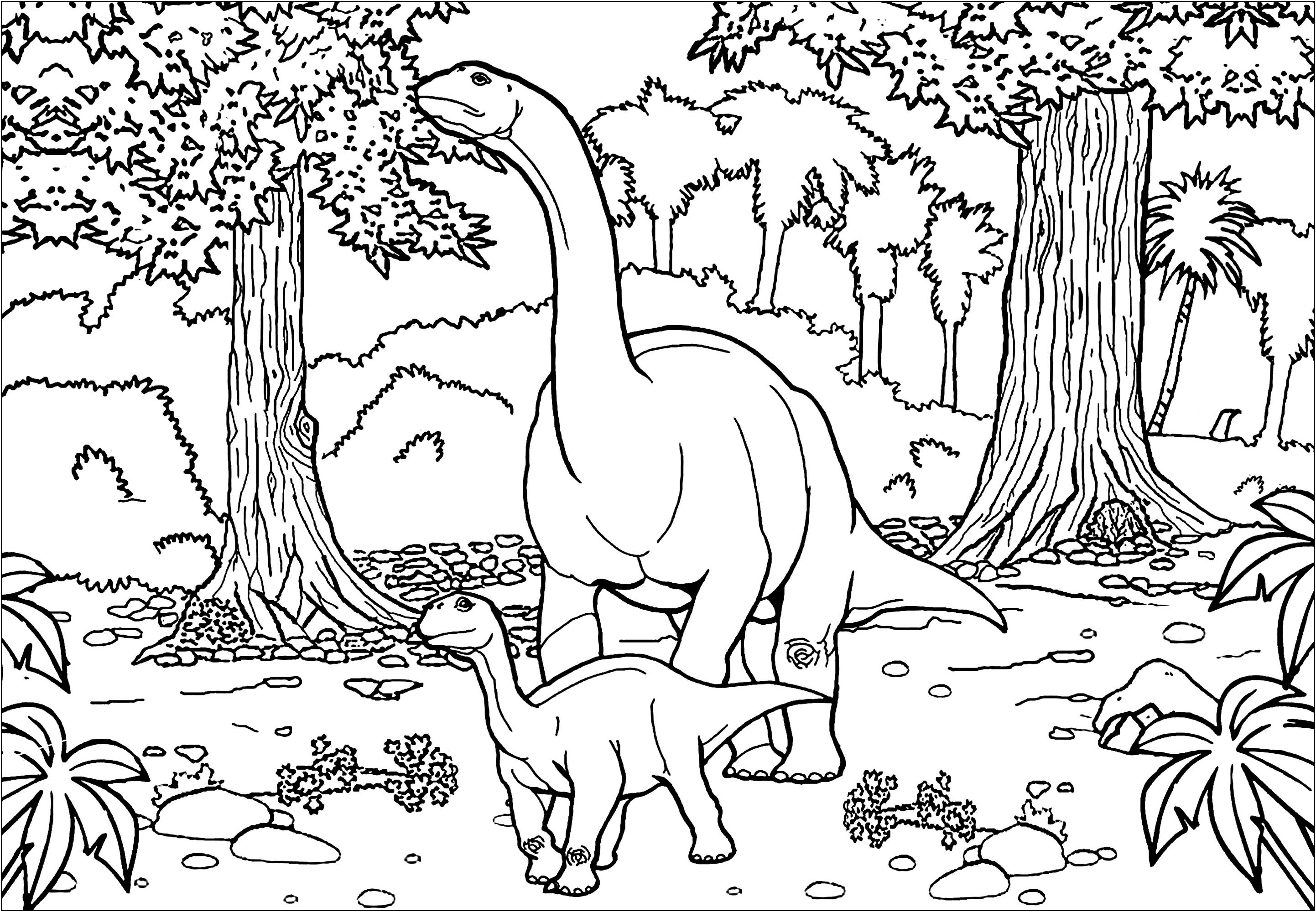 Two diplodocus