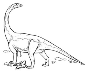Diplodocus coloring pages by mrfitz tpt