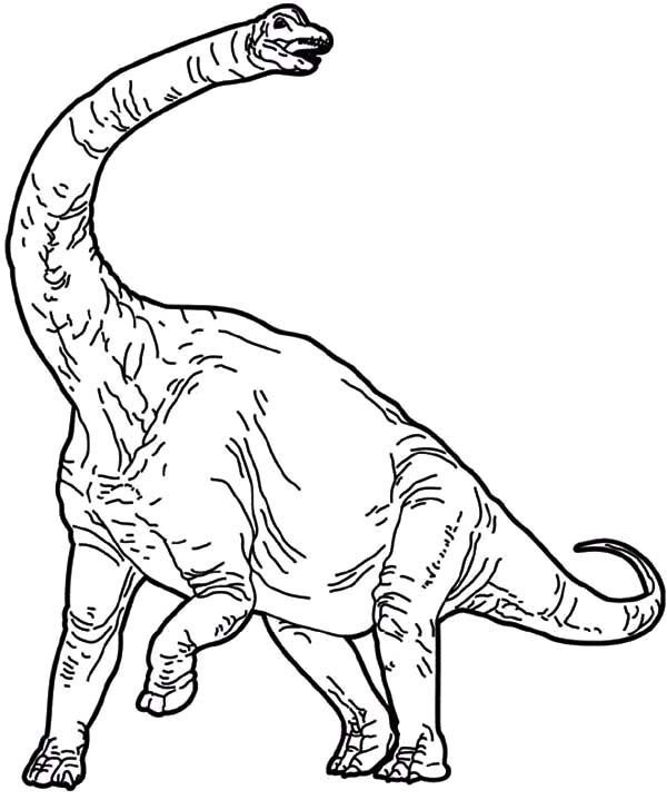 Diplodocus coloring pages