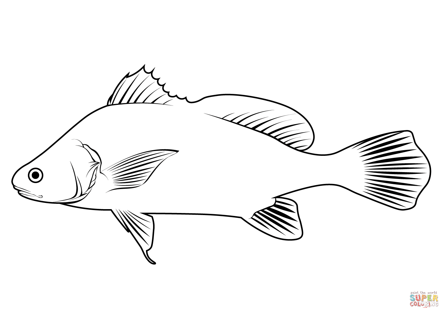 Freshwater drum aplodinotus grunniens coloring page free printable coloring pages