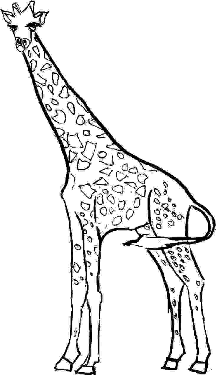 Free printable giraffe coloring pages for kids