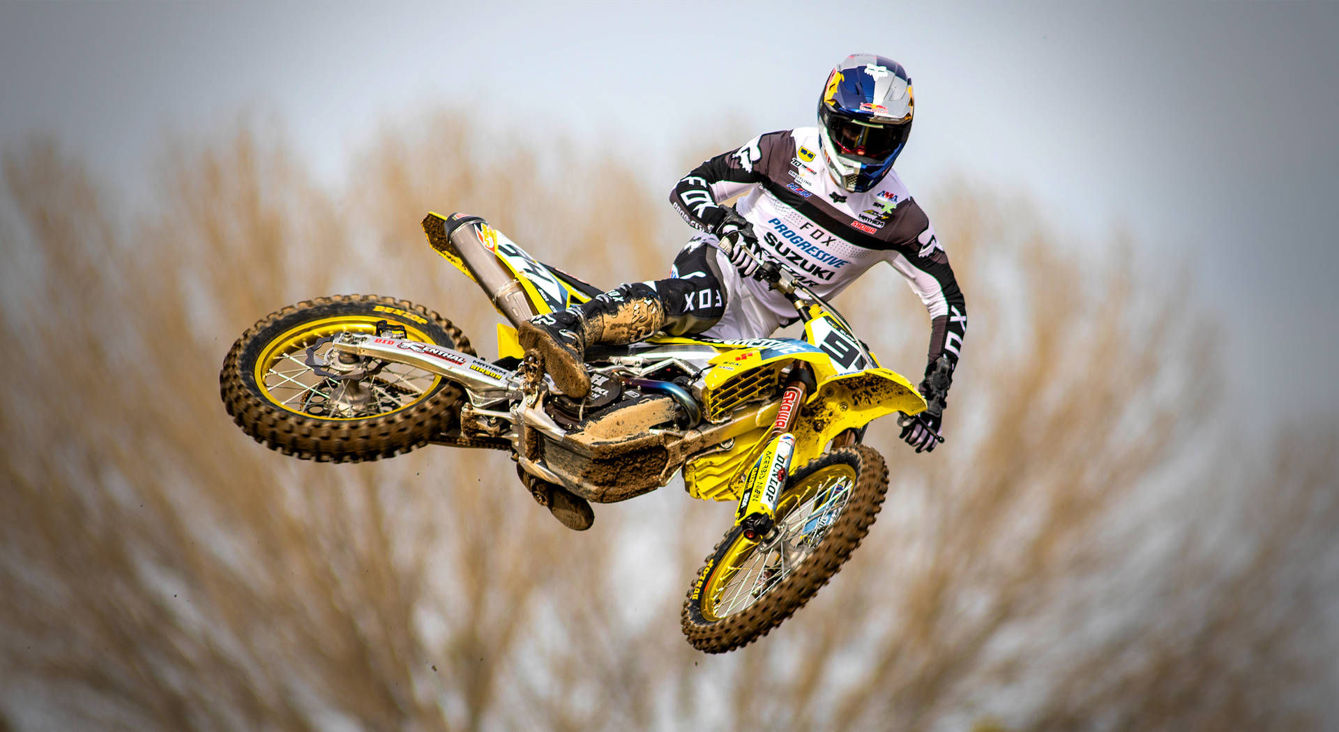 Fox dirt bike
