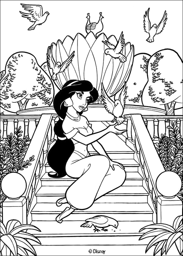 La belle jasmine aladdin