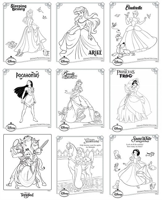A dream e true disney princess party