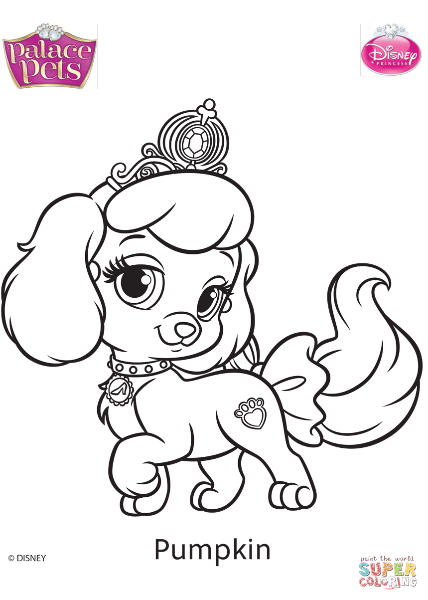 Palace pets pumpkin coloring page free printable coloring pages