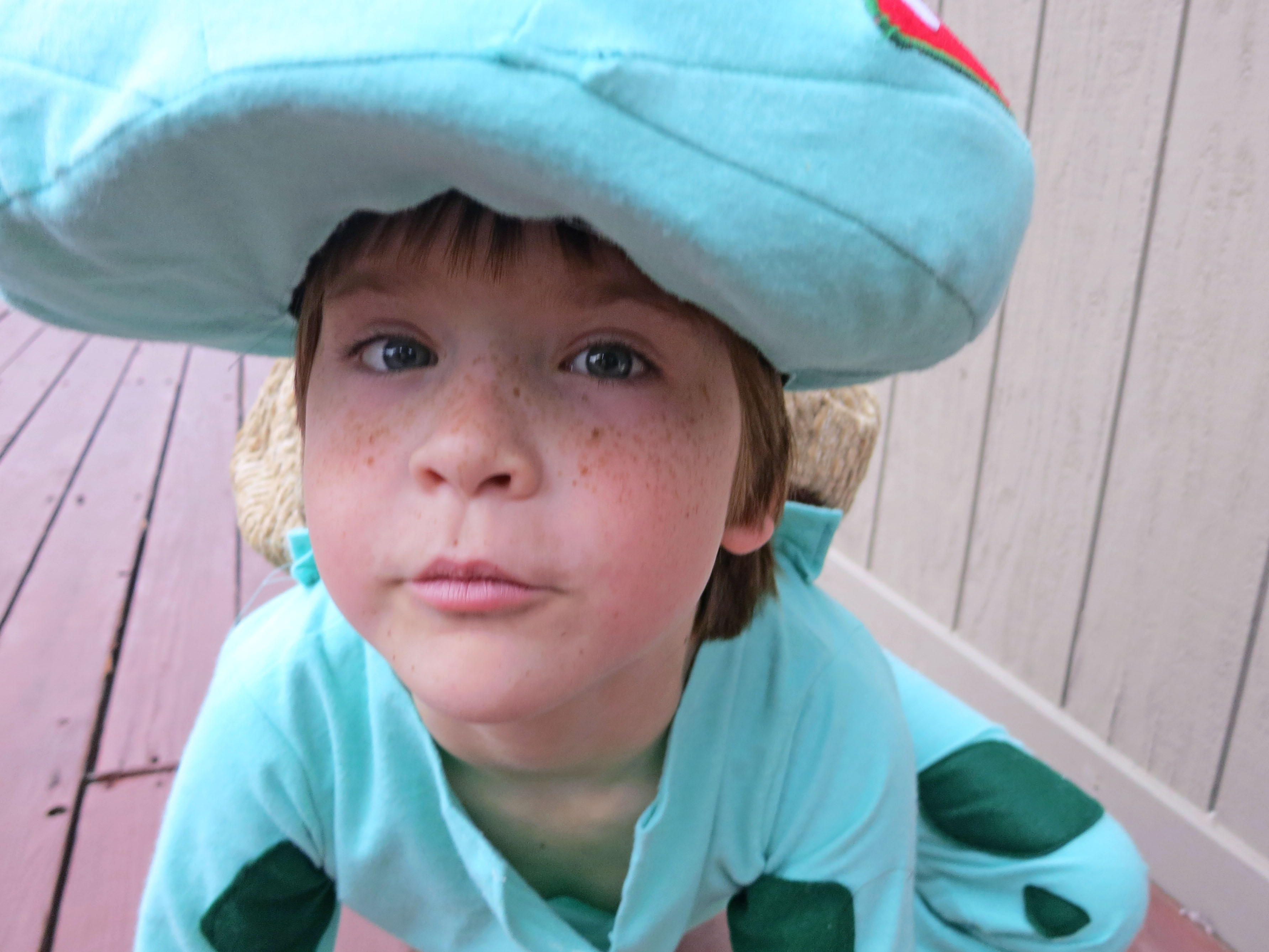 Making a bulbasaur halloween costume retro tech journal