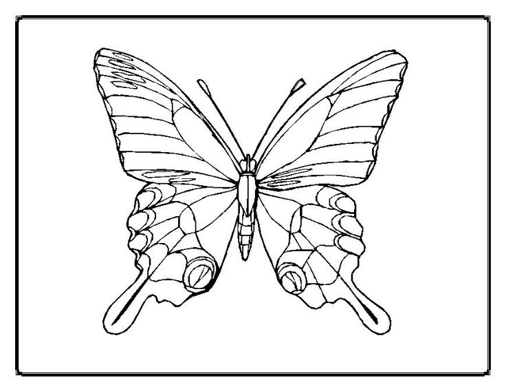 Your kids will love these butterfly coloring pages butterfly coloring page butterfly printable butterfly template