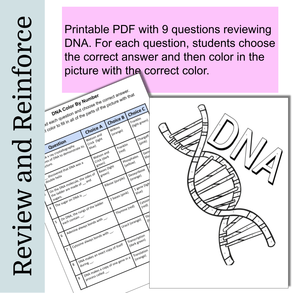 Dna pdf color by number