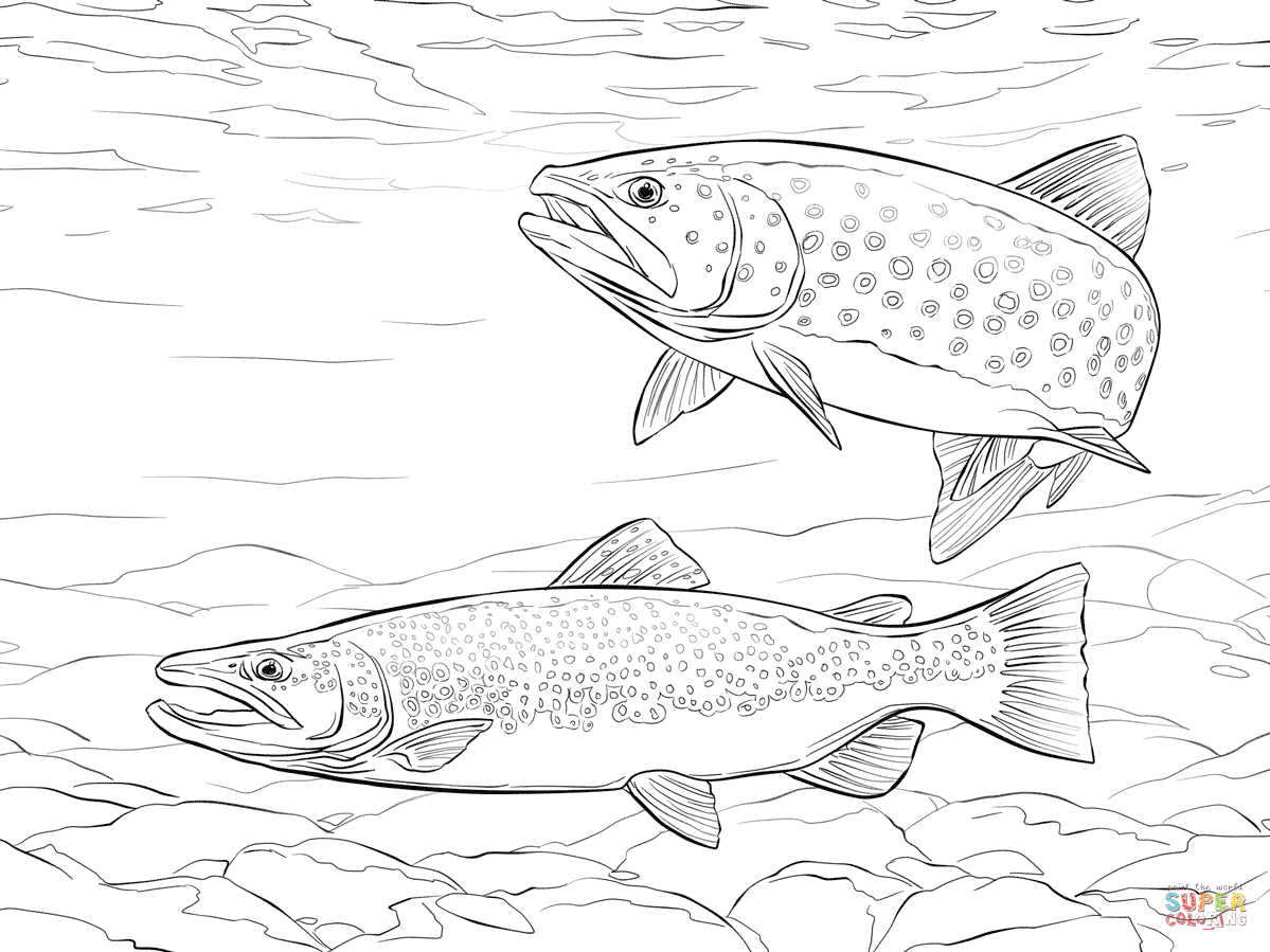 Brown trout coloring page free printable coloring pages