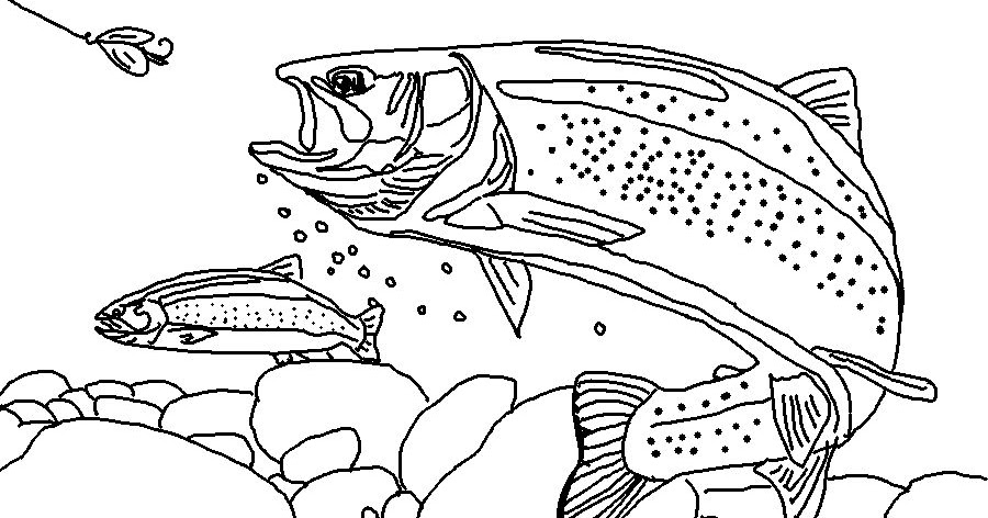 Rainbow trout landscape
