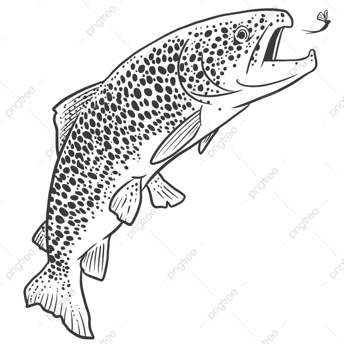 Fish jump png transparent images free download vector files