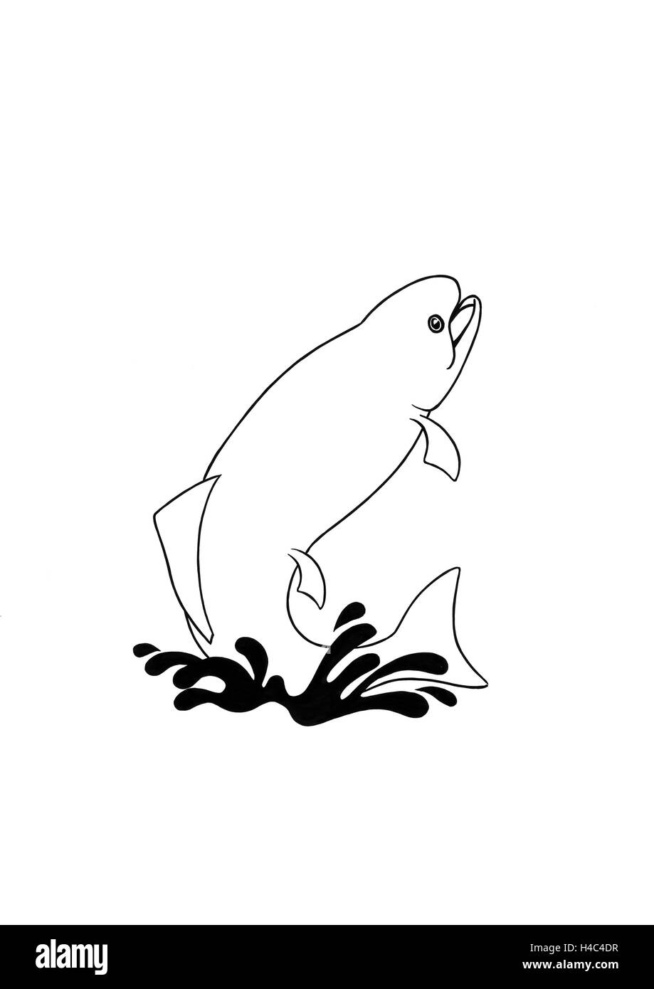 Jumping fish black and white stock photos images