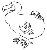Dodo bird coloring pages free coloring pages
