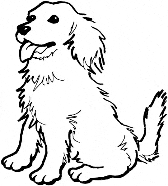 Dog coloring page