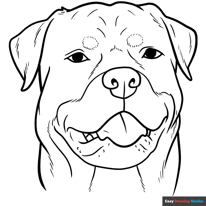 Dog face coloring page easy drawing guides