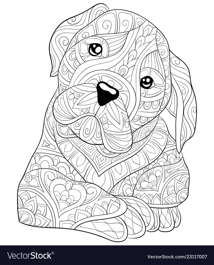 Adult coloring bookpage a cute dog image vector image