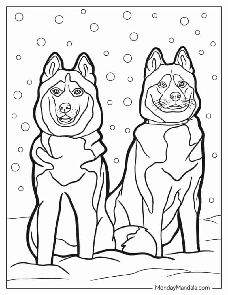 Husky coloring pages free pdf printables