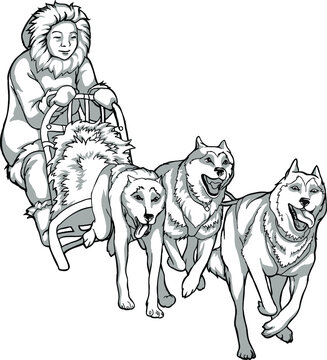 Sled dogs animal helpers linear drawing of dogs driving a man traditions of the northern peoples black and white drawing vector