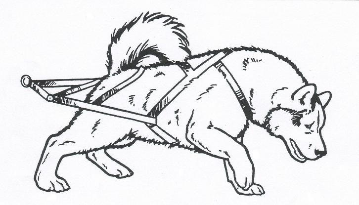 Pin by jarrod coomer on iditarod