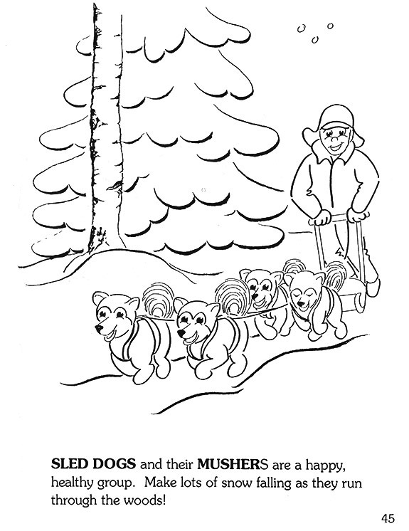 Duluth you me sled dogs and their mushers