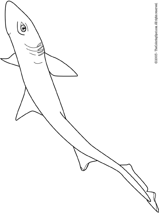Dogfish shark coloring page audio stories for kids free coloring pages colouring printables