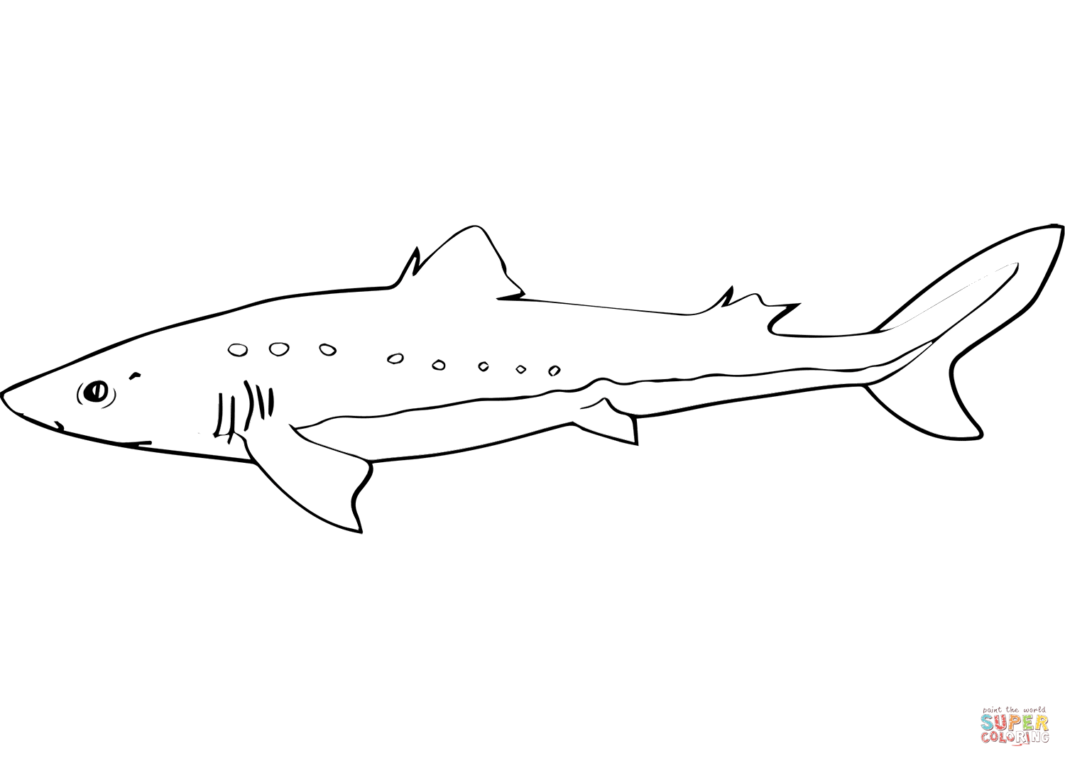 Spiny dogfish coloring page free printable coloring pages