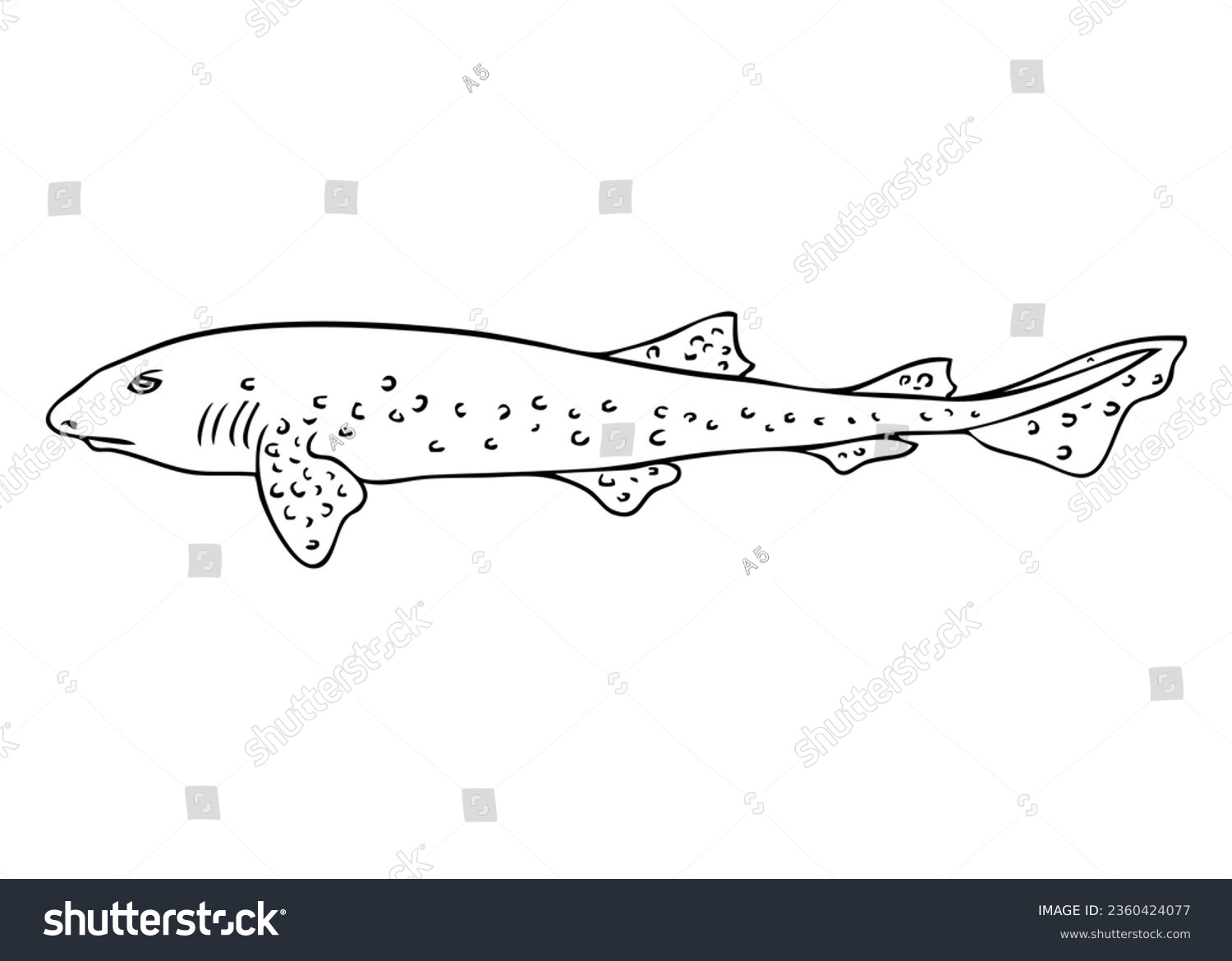Dogfish over royalty