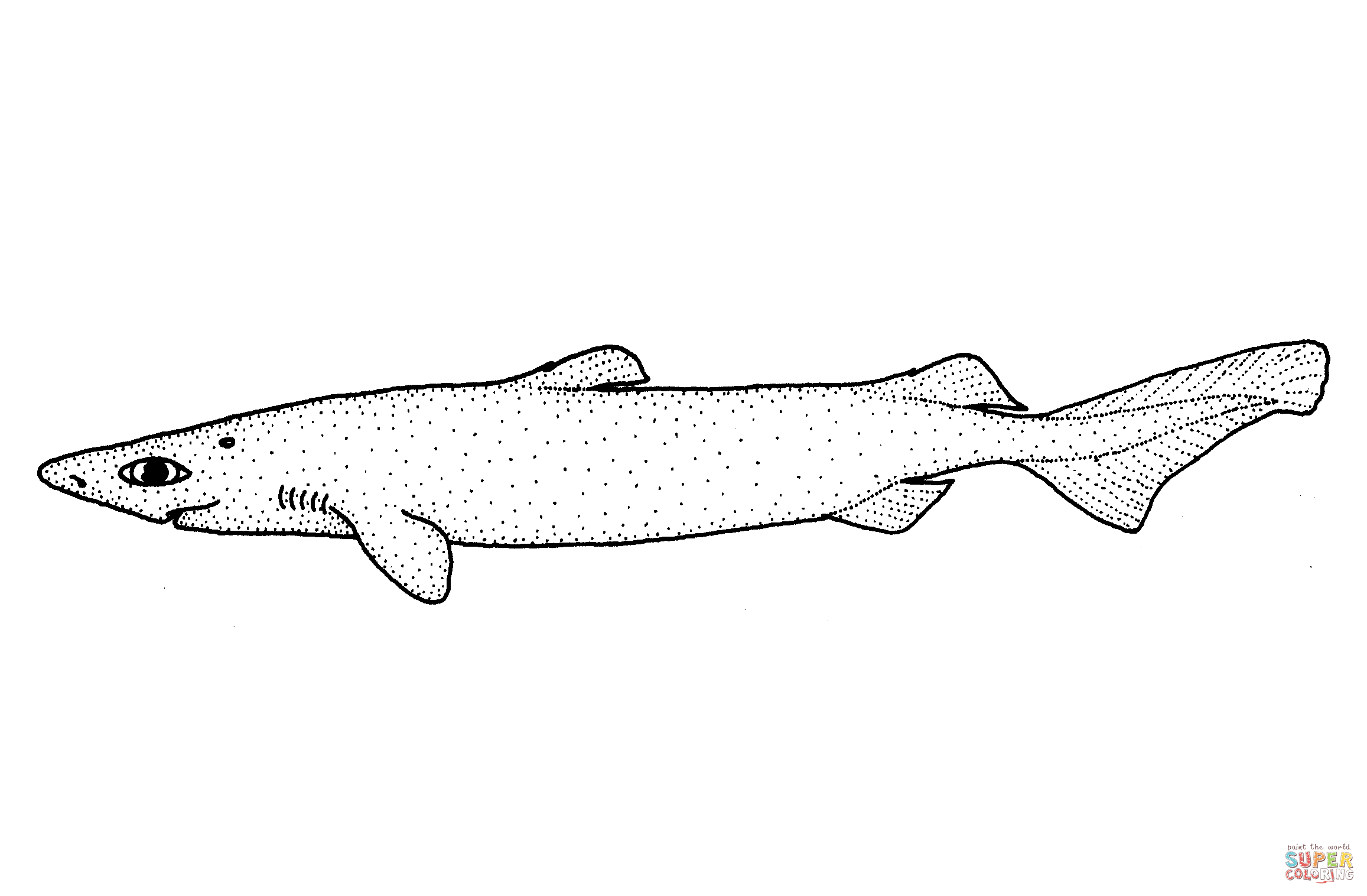 Centroscymnus owstoni roughskin dogfish coloring page free printable coloring pages
