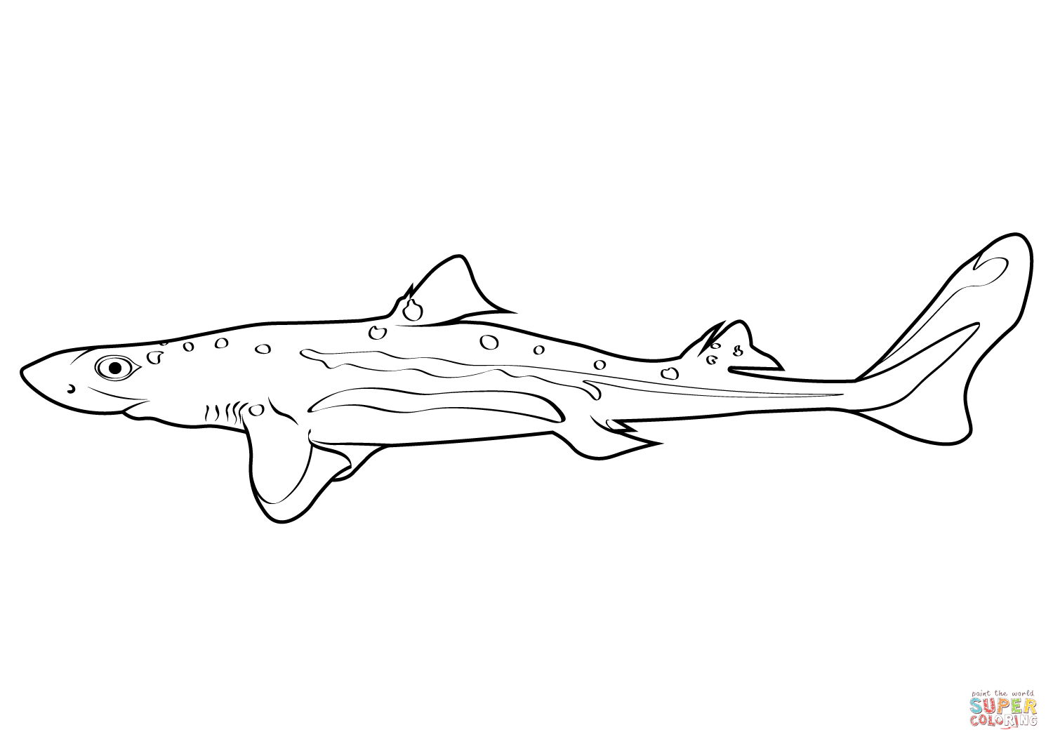 Pacific spiny dogfish squalus suckleyi coloring page free printable coloring pages