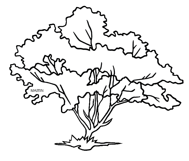 United clip art by phillip martin missouri state tree