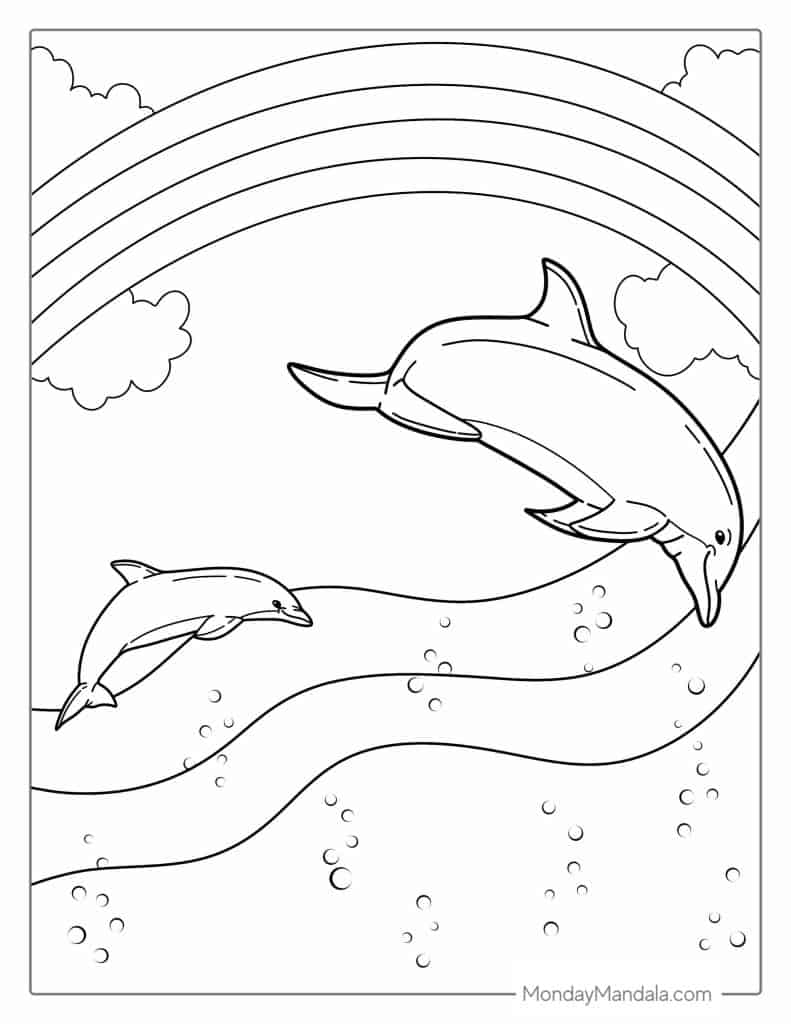 Dolphin coloring pages free pdf printables