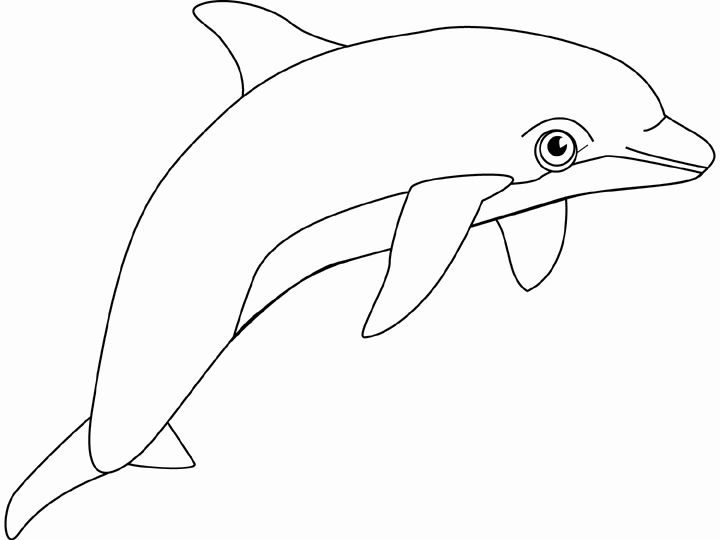 Free coloring pages of dolphins to the print dolphin coloring pages animal coloring books fish coloring page