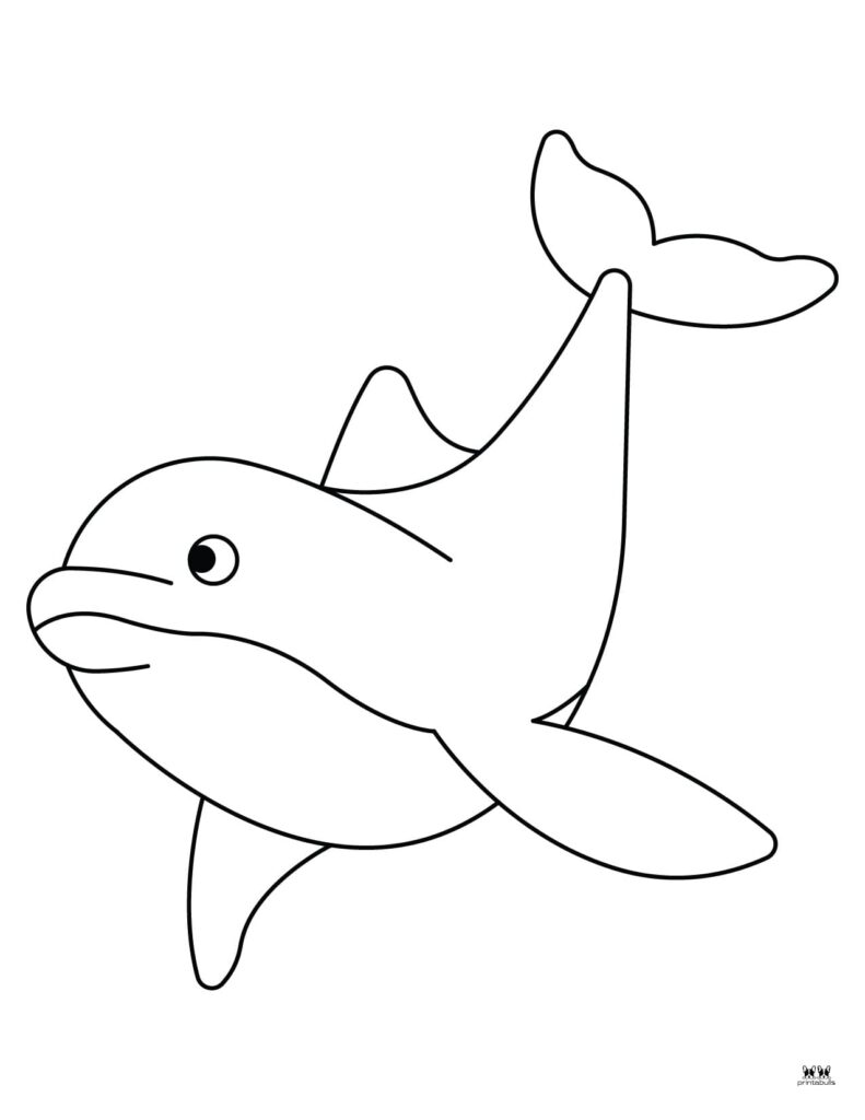 Dolphin coloring pages templates