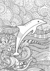 Dolphins