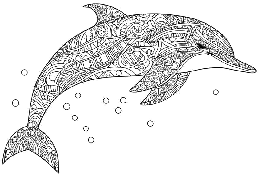 Dolphin coloring pages