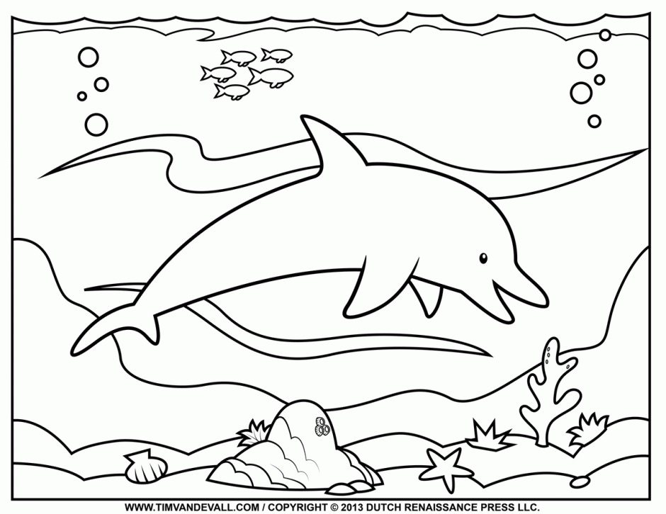 Winter the dolphin coloring pages winter the dolphin coloring dolphin coloring pages printable coloring pages ocean coloring pages